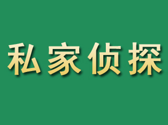 龙州市私家正规侦探